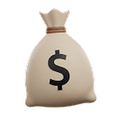 Bolsa de dinero